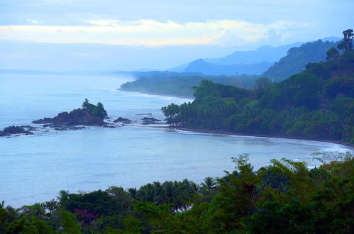 Photo 21 - Luxe 4 Bdrm Villa w Epic Oceanview Infinity Pool