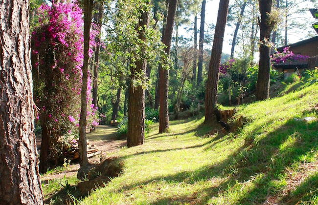 Country House In The Woods With River - Foto 20