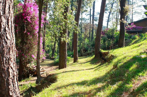 Photo 20 - Country House In The Woods With River