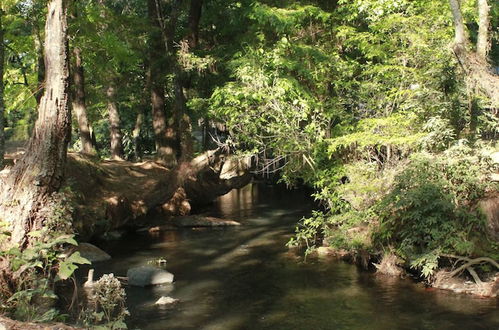 Photo 23 - Country House In The Woods With River