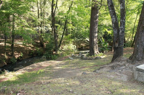 Photo 21 - Country House In The Woods With River