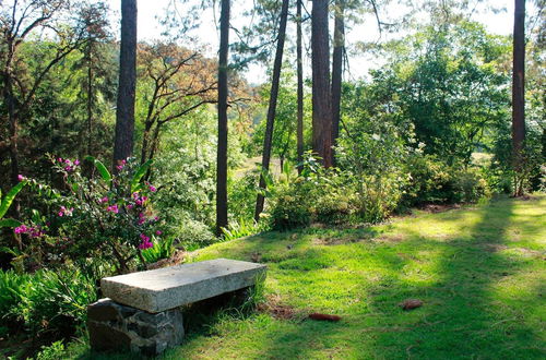 Photo 28 - Country House In The Woods With River