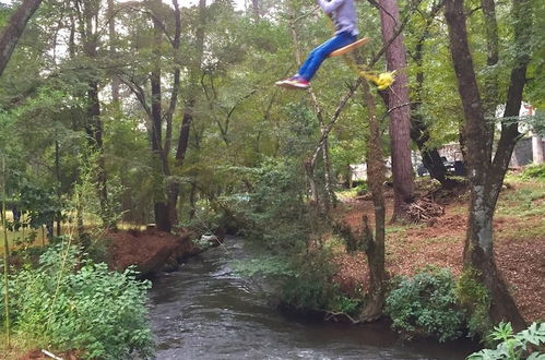 Photo 19 - Country House In The Woods With River