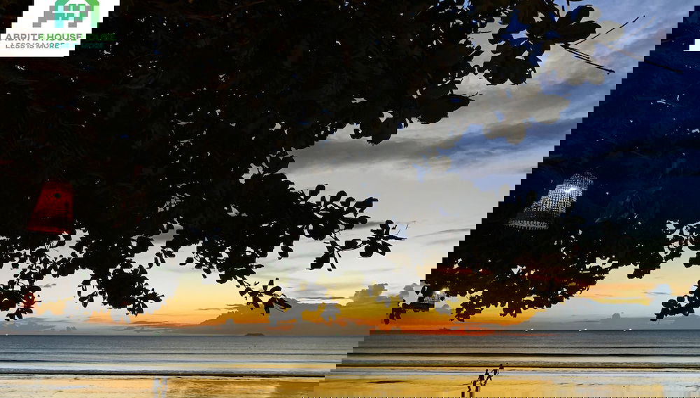 Image principale