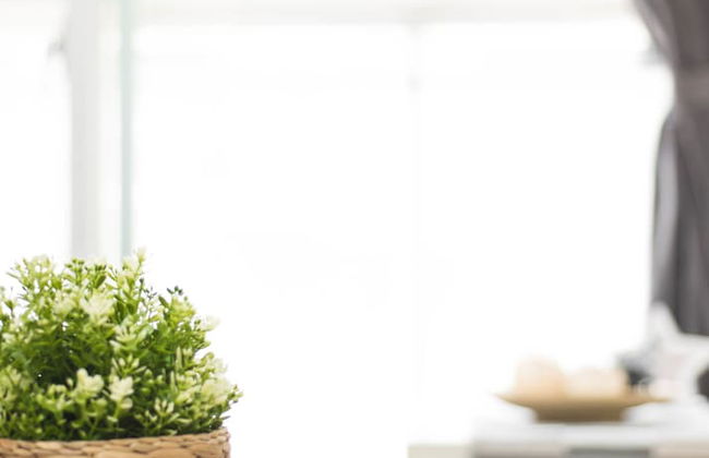 Love Taipei - Ximen - Foto 19