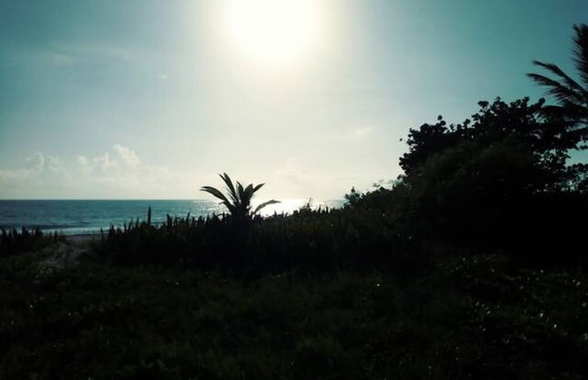 2 Room House Front Kite Beach Cabarete - Foto 25