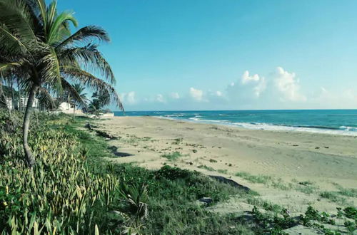 Photo 26 - 2 Room House Front Kite Beach Cabarete