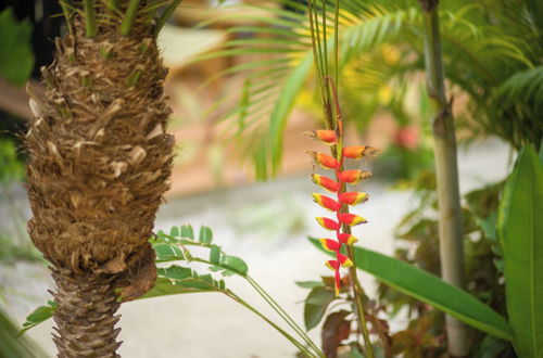 Photo 26 - 1# Favela Chic Tamarindo Boho Boutique Luxury Bungalow Close to the Beach