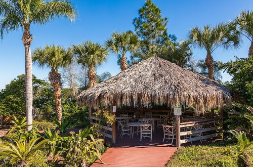 Photo 43 - Disney Tropical Oasis at Bahama Bay