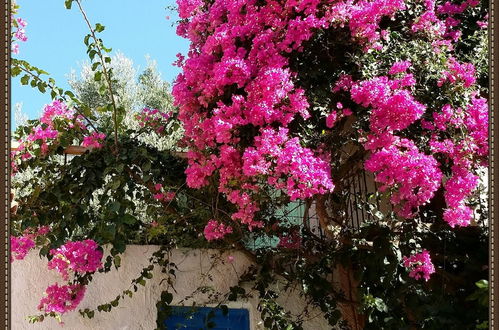 Photo 19 - Exclusive Cottages are in S. West Crete in a Quiet Olive Grove Near the Sea..