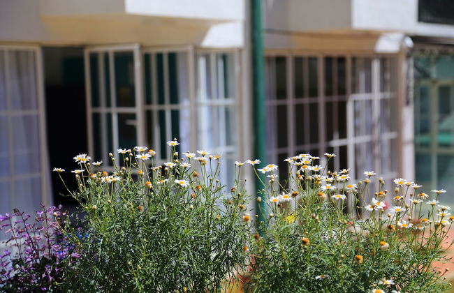 Lemas Holiday Bungalow - Foto 26