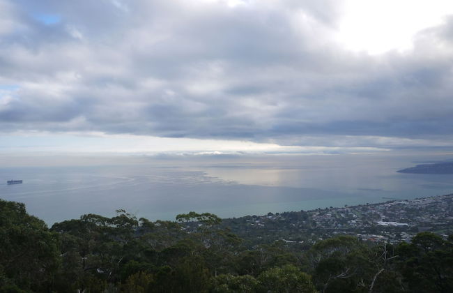 Summit Views - Foto 20