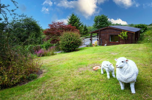 Photo 40 - The Lodge At Sheepswalk Farm - Stepaside