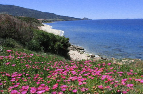 Photo 9 - Terrazze sul Mare Alla Ciaccia - Apartment 3