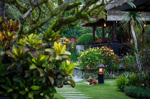 Photo 74 - Villa L'Orange Bali