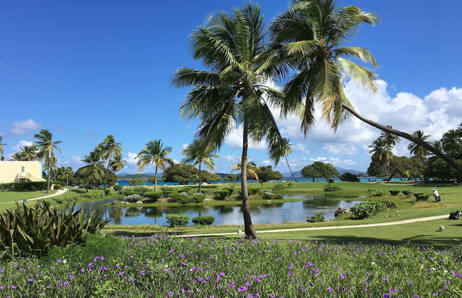 Sapphire Sanctuary by the Sea - Photo 78