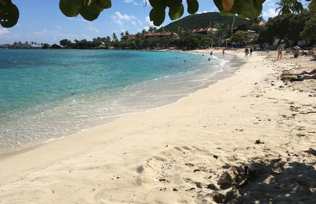 Sapphire Sanctuary by the Sea - Photo 63