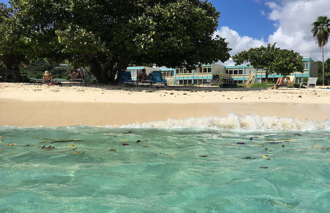 Sapphire Sanctuary by the Sea - Photo 62