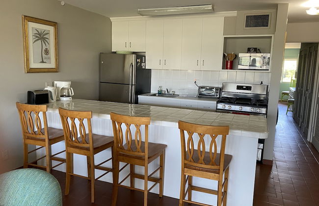 Sapphire Sanctuary by the Sea - Photo 11