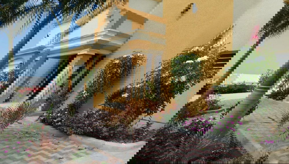 Imagem principal