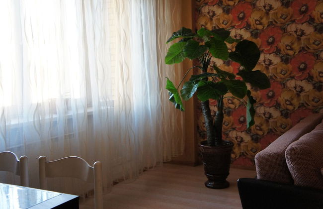 Hotel in Apartment Irkutsk - Foto 63