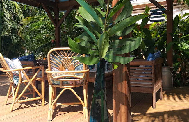 Gite Bois-Cannelle - Foto 28