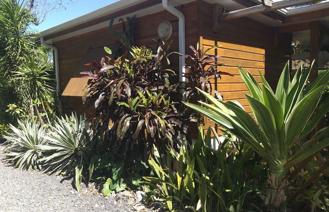 Gite Bois-Cannelle - Foto 2