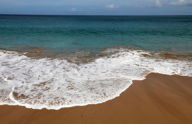 Gite Bois-Cannelle - Foto 29