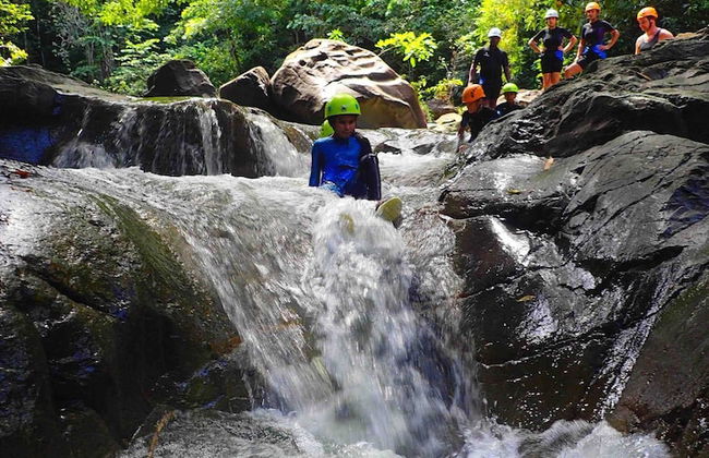 Gite Bois-Cannelle - Foto 22