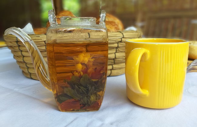 Gite Bois-Cannelle - Foto 23