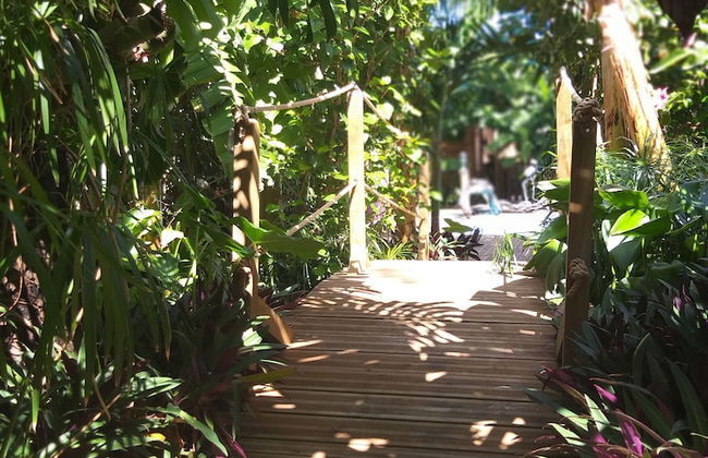 Gite Bois-Cannelle - Foto 25