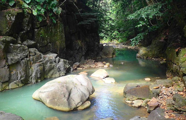 Gite Bois-Cannelle - Foto 21