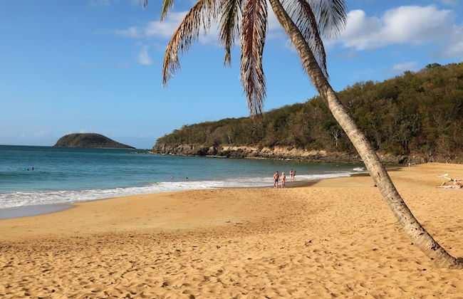 Gite Bois-Cannelle - Foto 24