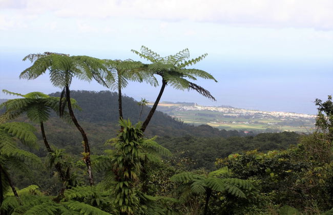 Gite Bois-Cannelle - Foto 20