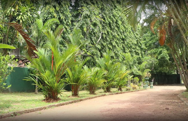 Villa Sunshine Hotel - Photo 7
