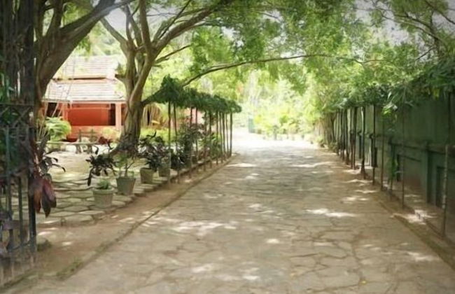 Villa Sunshine Hotel - Photo 11