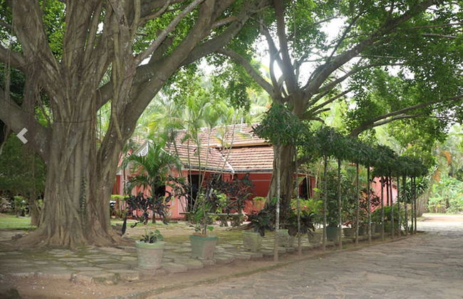 Villa Sunshine Hotel - Photo 1