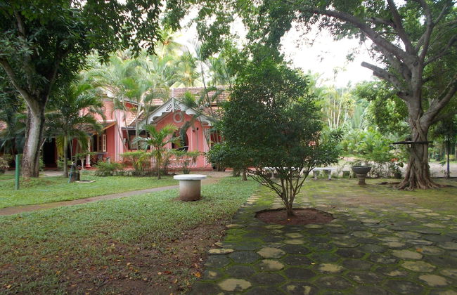 Villa Sunshine Hotel - Photo 15