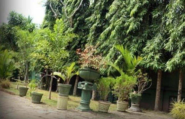 Villa Sunshine Hotel - Photo 9