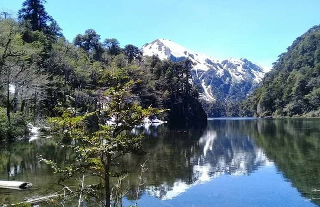 Cabana 4 Personas En Hermoso Paisaje En Pucon - Foto 14