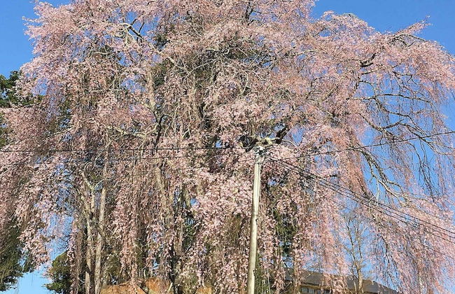 Tokuheian - Foto 50