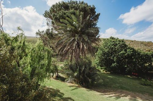 Photo 22 - Country Cottage in the Overberg