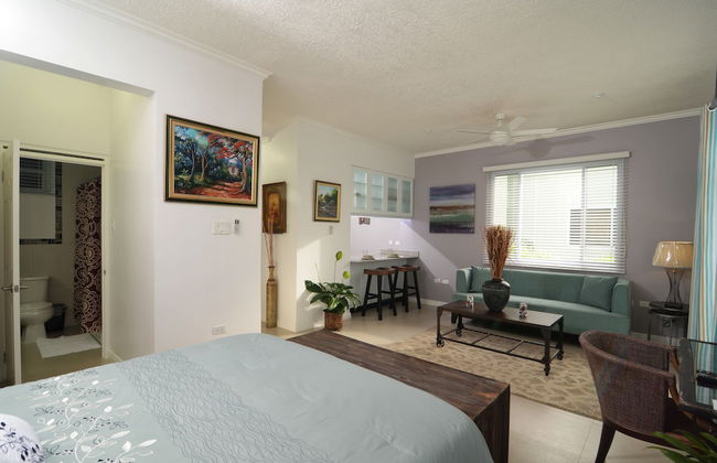 Kingsway New Kingston Guest Apartment II - Foto 2