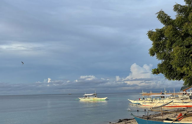 The Whitehouse by the Sea - Foto 61