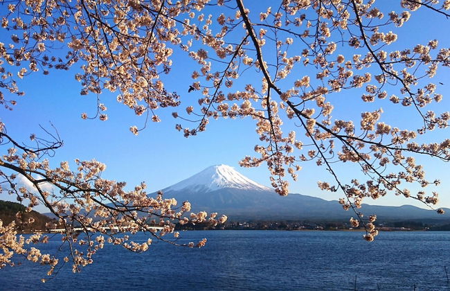 Lake Villa Kawaguchiko - Foto 47