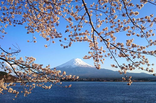 Photo 47 - Lake Villa Kawaguchiko