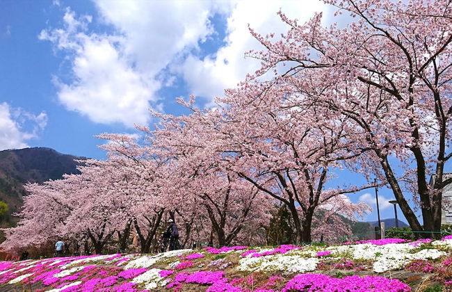 Lake Villa Kawaguchiko - Foto 51