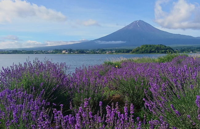Lake Villa Kawaguchiko - Foto 52