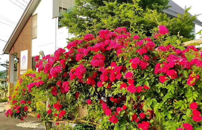 Donguri House - Foto 40
