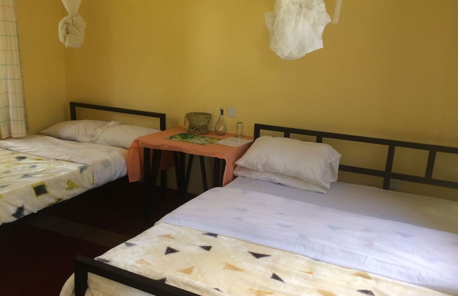 Acacia Tree Apartments - Photo 4
